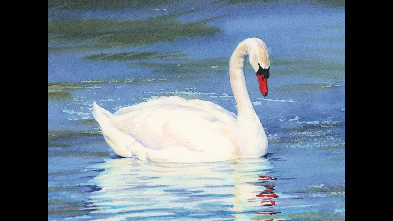 Painting a White Swan in Watercolor
