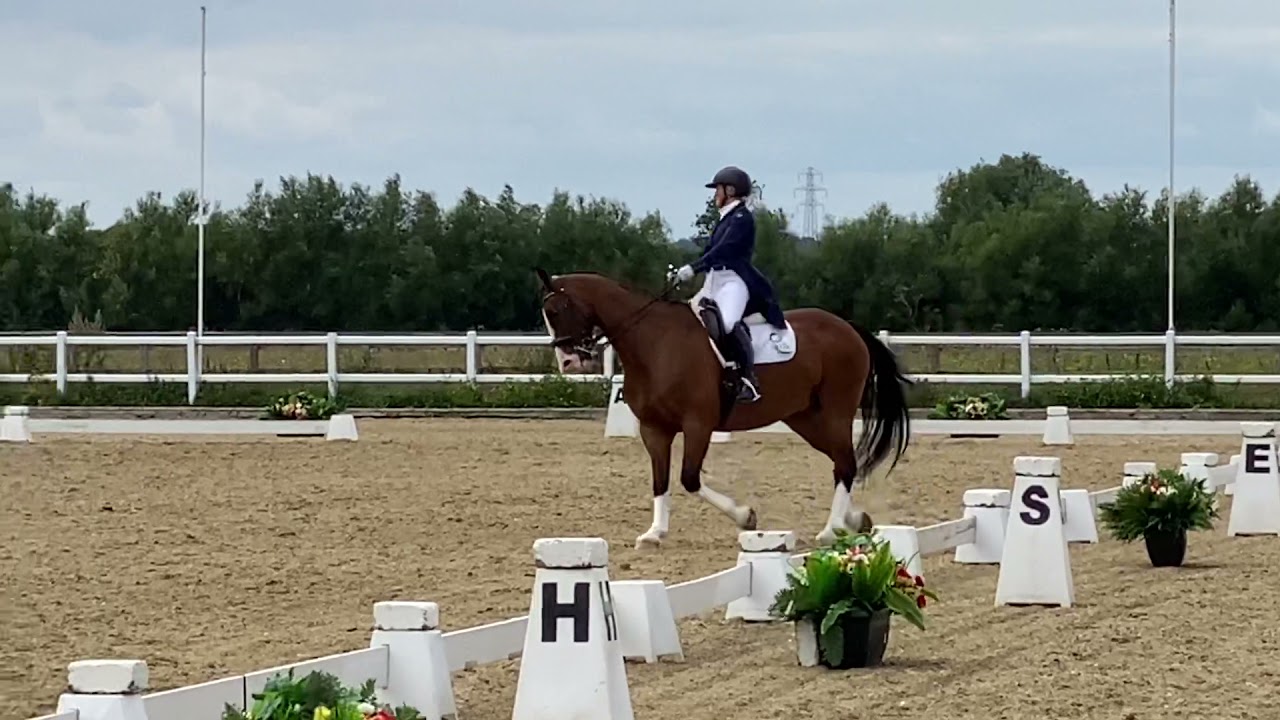 Bury Farm High Profile Show PSG 69.47% Sally Walker & Wilton