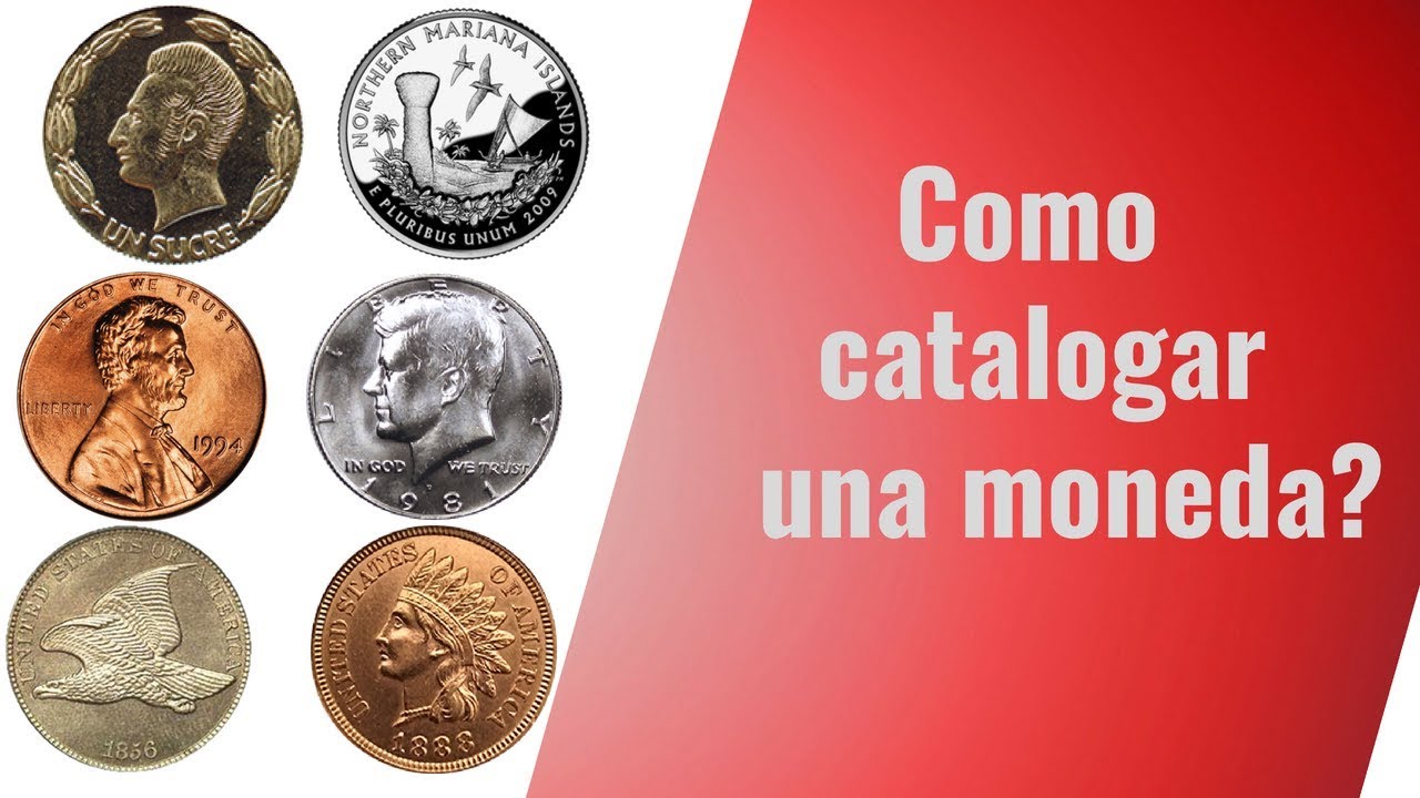 Aprende a catalogar un moneda (Curso cap 7)