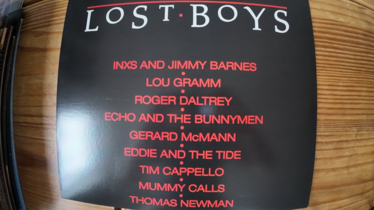 Vinyl Record  collection so far in 2025 - nostalgia- The Lost Boys soundtrack 