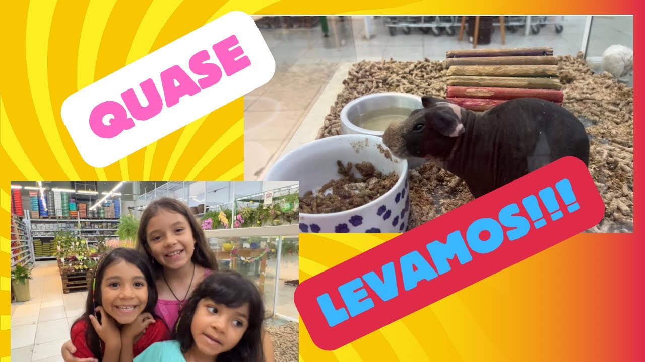 Fomos só comprar ração… e olha o que encontramos 😍🐰🐠 | Vlog em família
