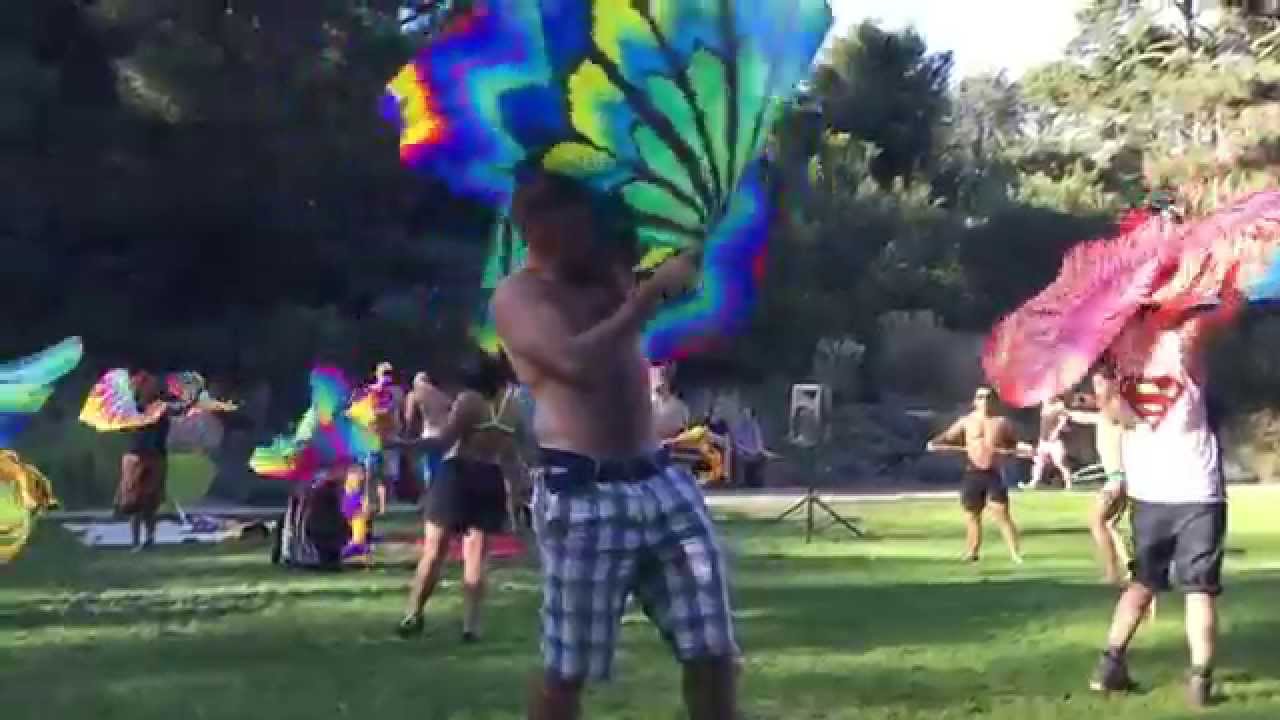 Flagging in the Park, October 2014