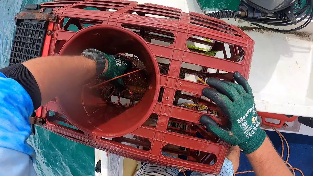 Pulling The Cray Pots On My Own.