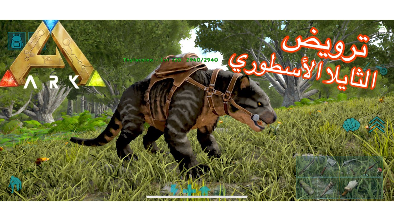 ترويض الثايلا المفترس في ARK Mobile | ملك الغابة الجديد!