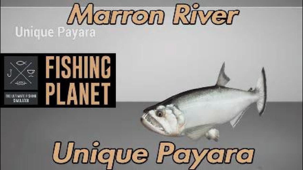Fishing Planet - Unique Payara - Marron River Bolivia