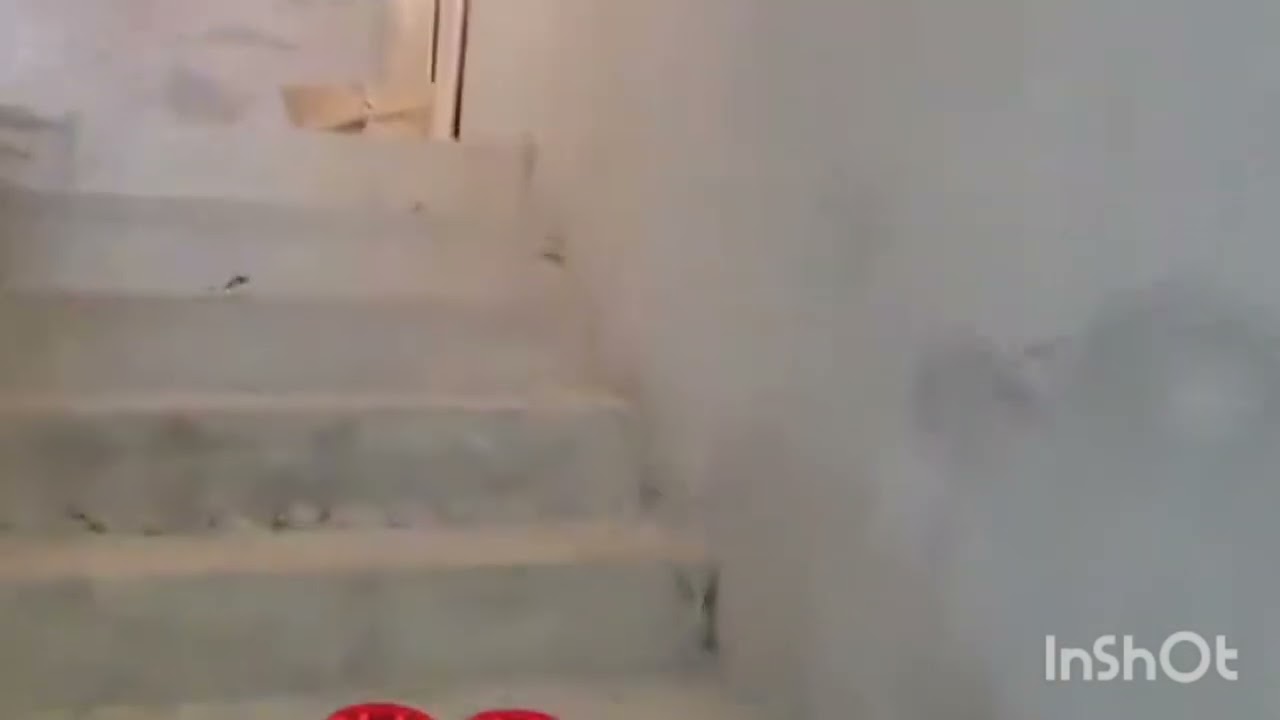 منزل 🏡 للبيع سعر 😍  125 متر  بوقرة ولاية البليدة 🇩🇿 للاستفسار اتصل على 0791854230☎️0558801375
