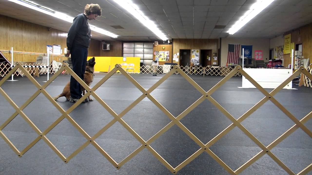 Fever utility directed jumping training