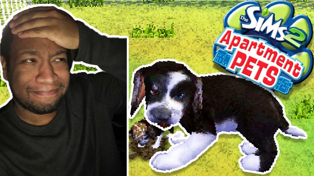 МОЙ ЩЕНОК МЕНЯ НЕНАВИДИТ! Sims 2 Apartment Pets Nintendo DS