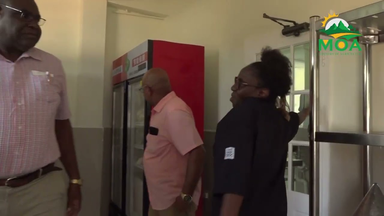 Locally owned agro-processing plant opens in Babonneau