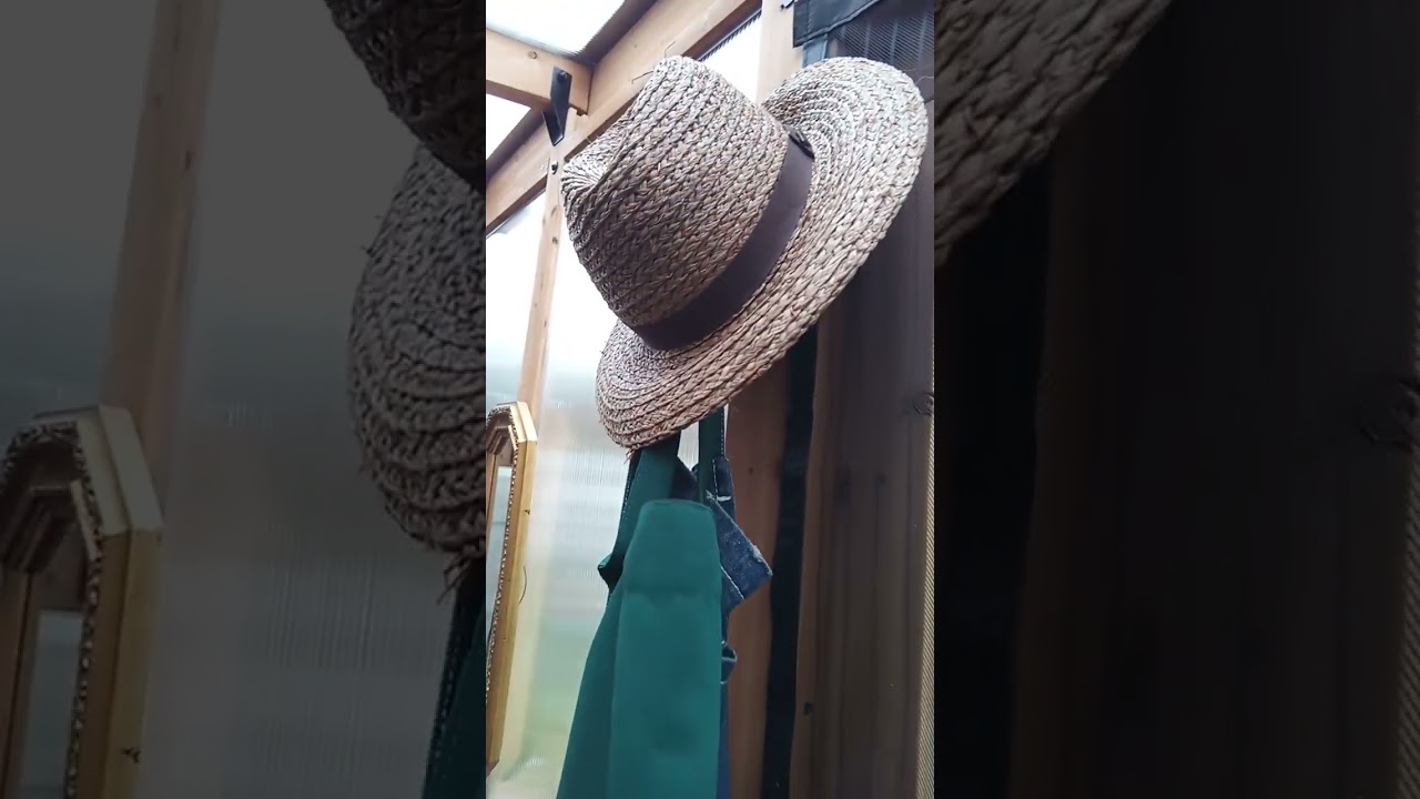 Redo-New Willow Greenhouse from Backyard  Discovery.