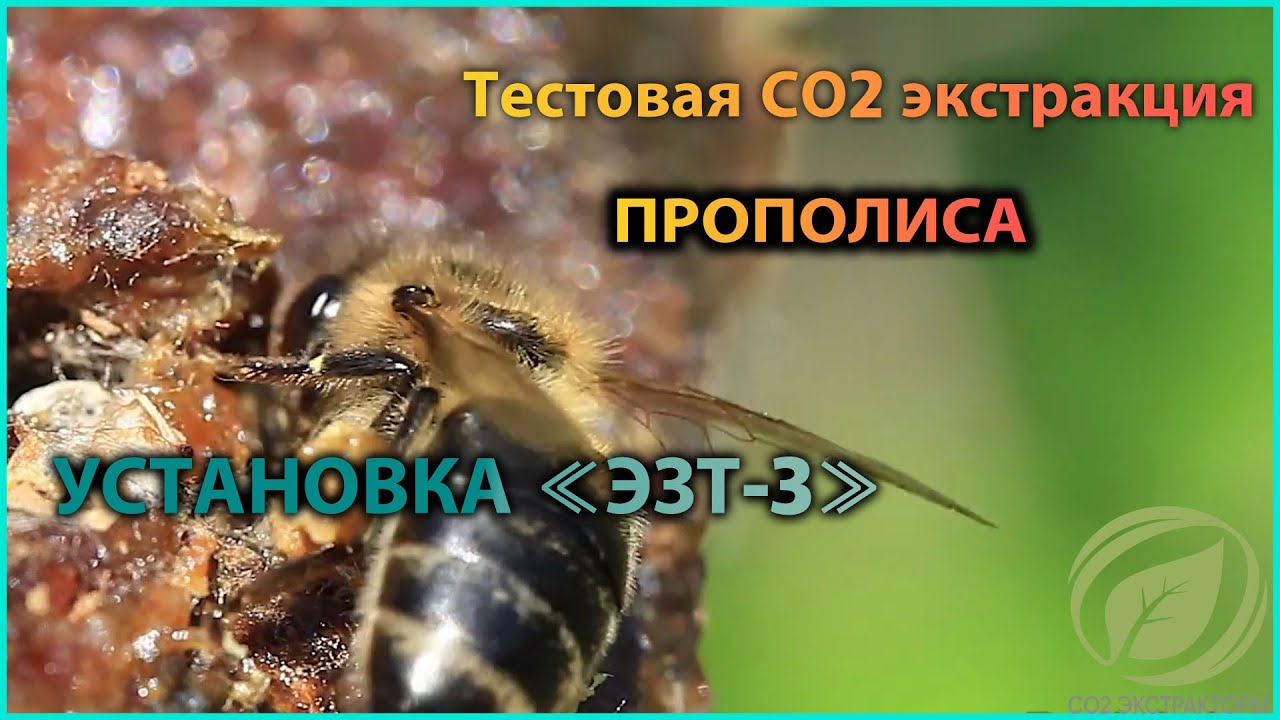 Тестовая экстракция прополиса на установке 