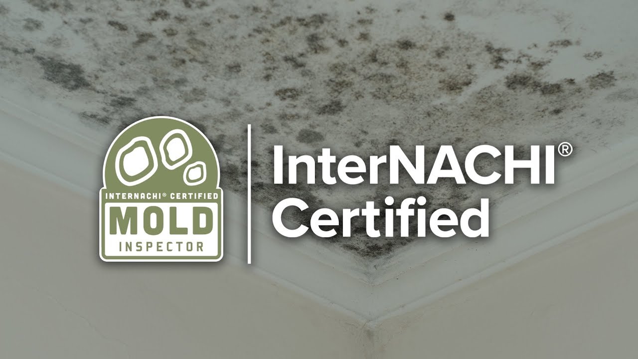 While I'm Here, Hire Me to Perform Your Mold Inspection