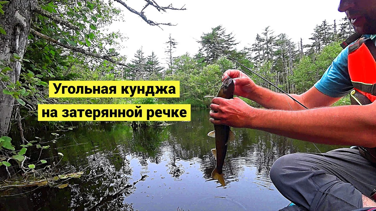 Затерянная в глухомани речка. Рыба и медвежьи тропы