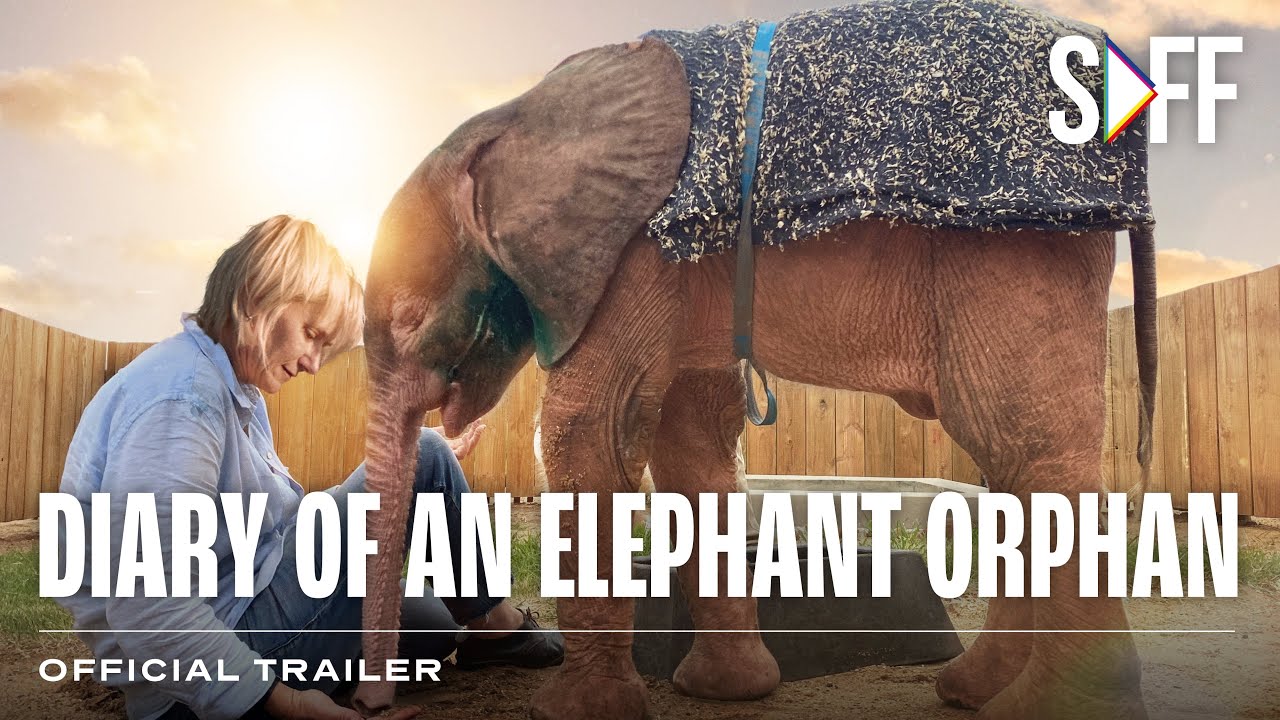 Diary of an Elephant Orphan Trailer | South African Film Festival