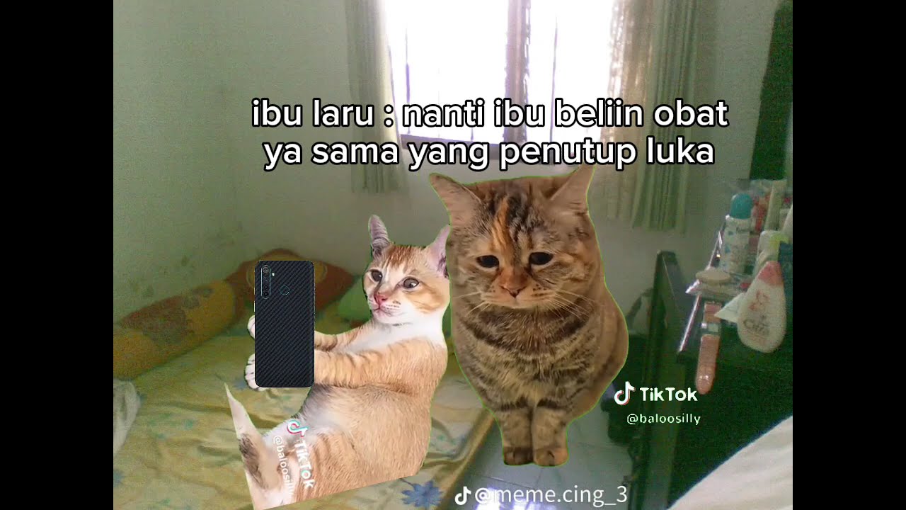 Cerita Fahri Dan Jaru 