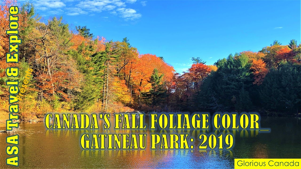 Canada's Fall Foliage Color_Gatineau Park_2019_Must visit in Fall