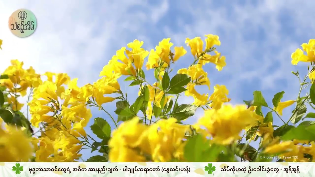 26 Aug 2023 Than Zint Eain