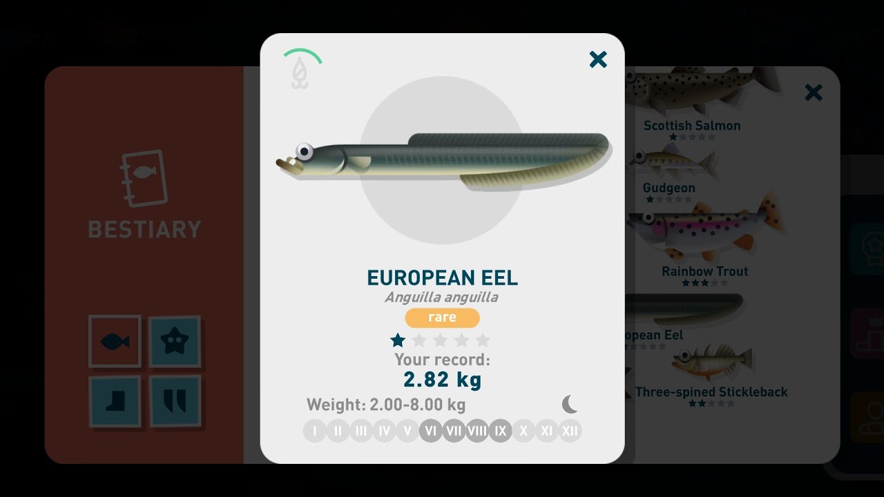 Creatures of the Deep - European Eel