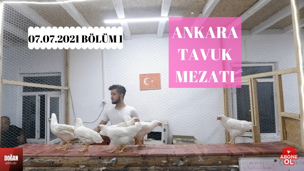 ANKARA TAVUK MEZATI 07.07.2021 BÖLÜM 1