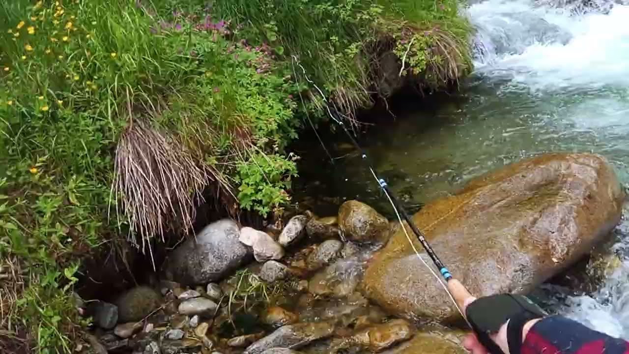 Високи води ,много пъстърви и счупена пръчка (high waters and crash fly rod)