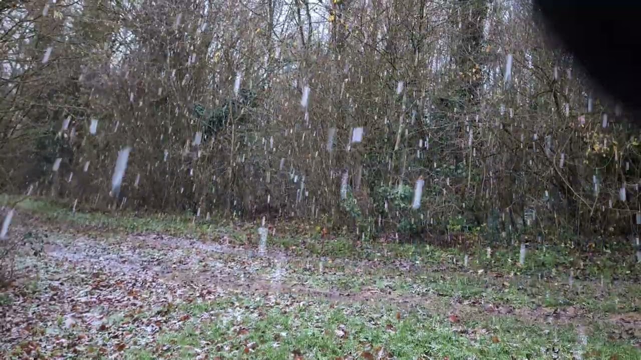 un orage sur la neige lol 🤣