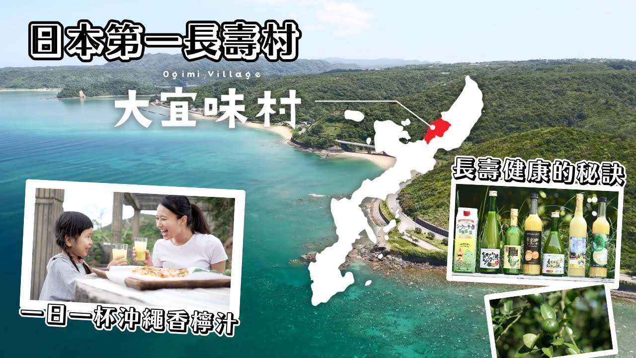【大宜味村長壽村】沖繩香檸汁的第一生產地 