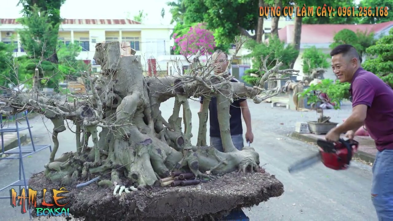Nam Lê định hình 1 ca tán tầng rất khó giúp em Toàn Bắc Giang | NamLe Bonsai