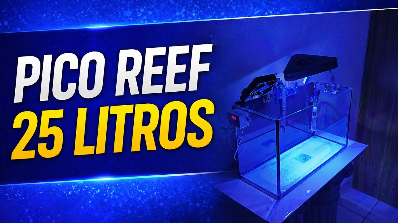Pico Reef 25 litros | Episódio 1 - Passo a passo da montagem 