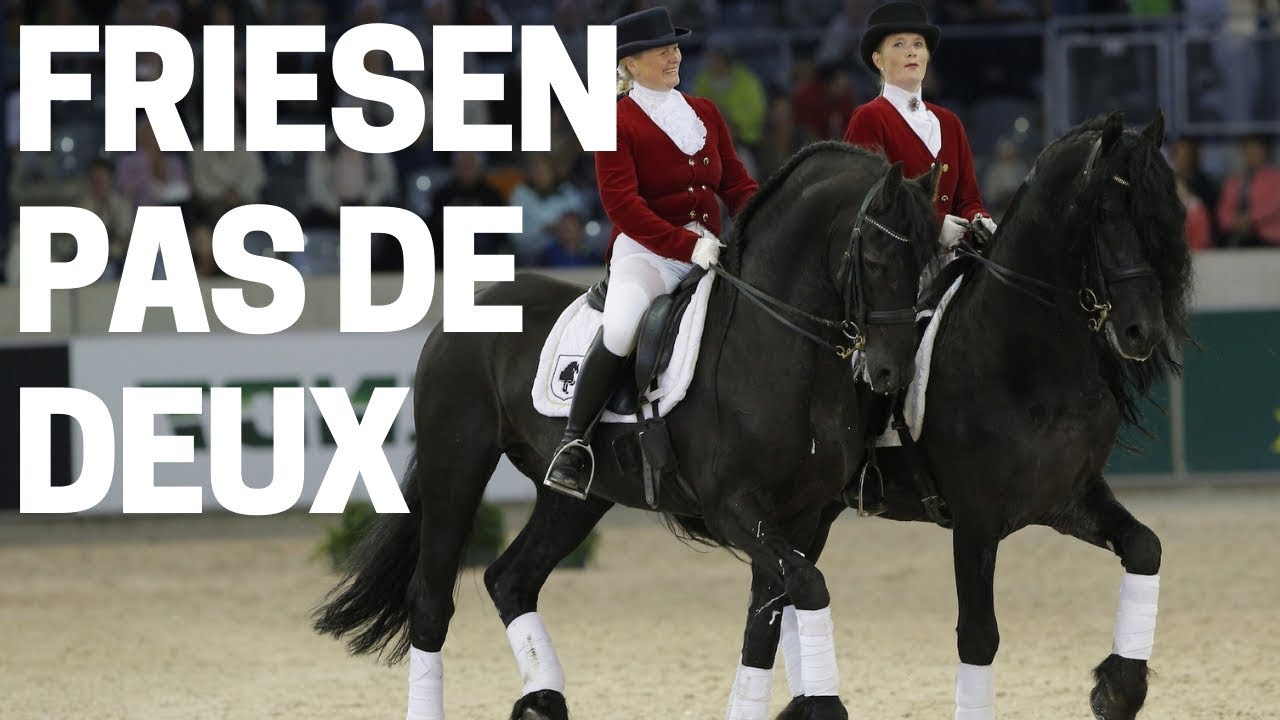 Wow 😱 I Friesen tanzen in der Kür ✨ I Tolle Bewegung der schwarzen Perlen