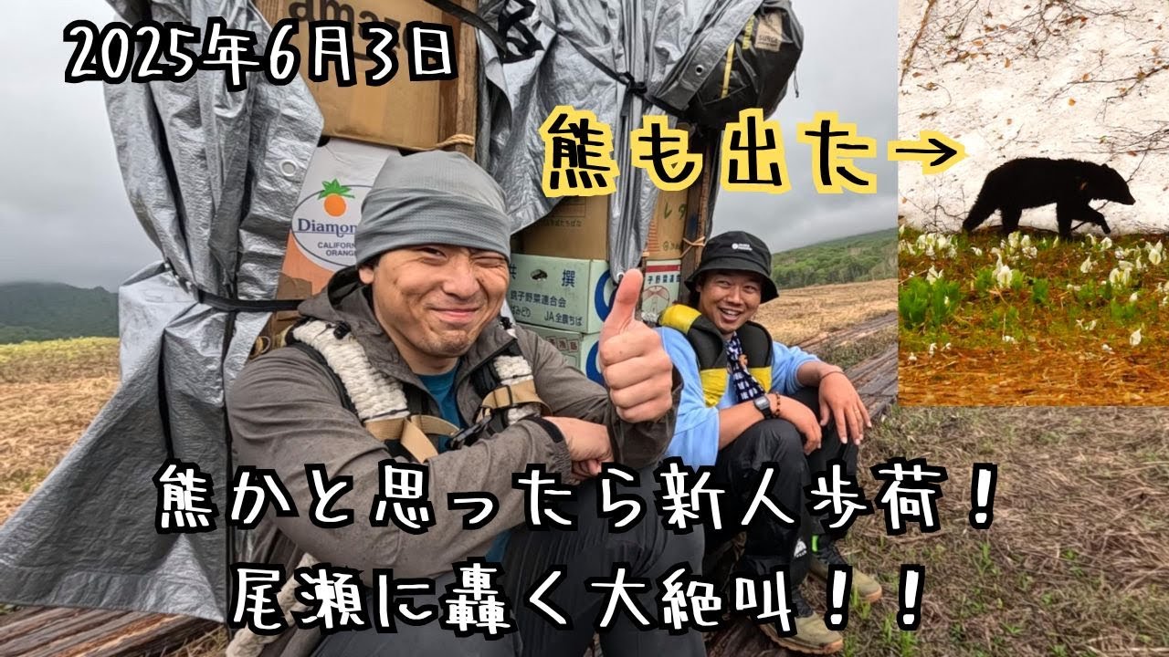 【熊4頭出没！】尾瀬に轟く新人歩荷の大絶叫に先輩歩荷大爆笑！