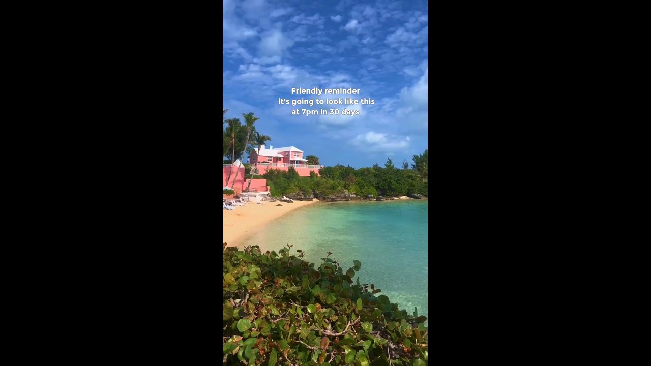 Spring is coming 💕 | Go to Bermuda