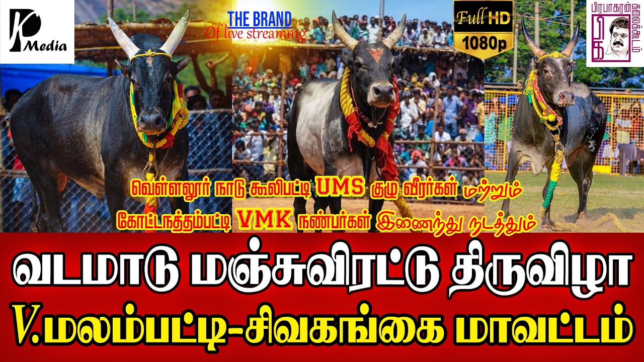 🔴 LIVE (நேரலை) | V.மலம்பட்டி வடமாடு மஞ்சுவிரட்டு  | சிவகங்கை மாவட்ட வடமாடு 2026 | PK Media
