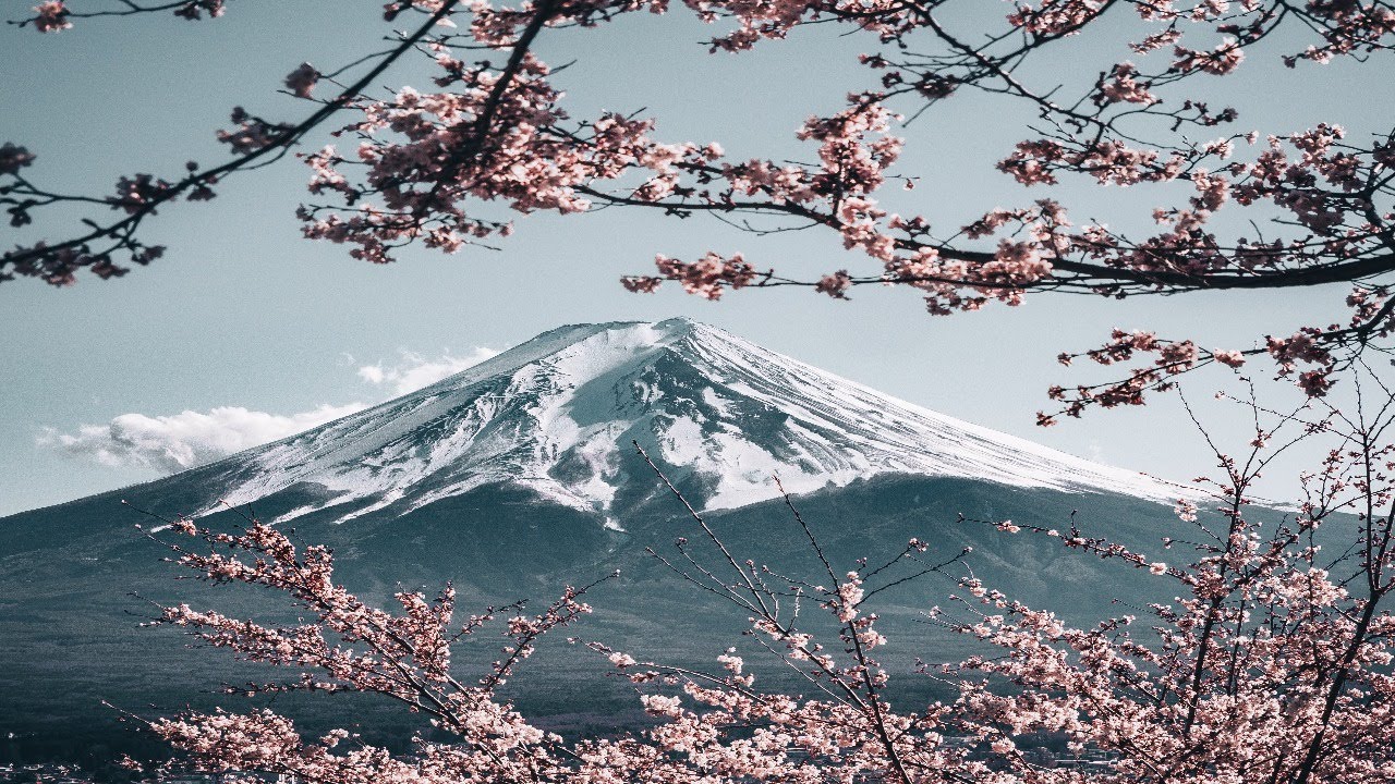 Ichigo Ichie: filosofía japonesa para disfrutar del instante || Noches de Diván