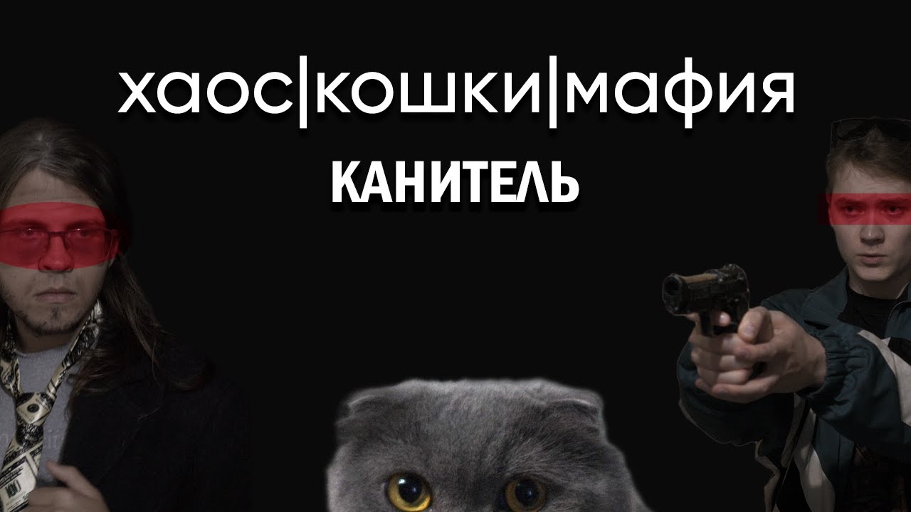 КАНИТЕЛЬ &mdash; 1 серия | Хаос, кошки и мафия