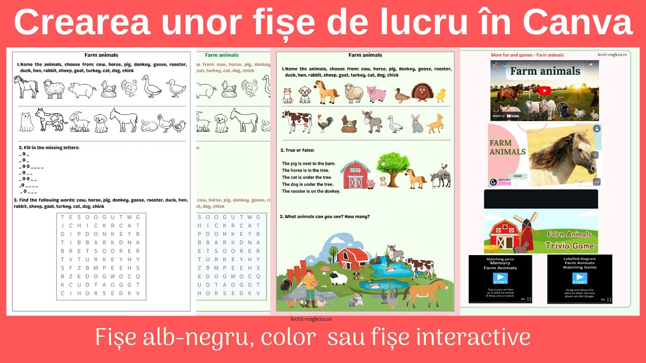 Fise de lucru in Canva