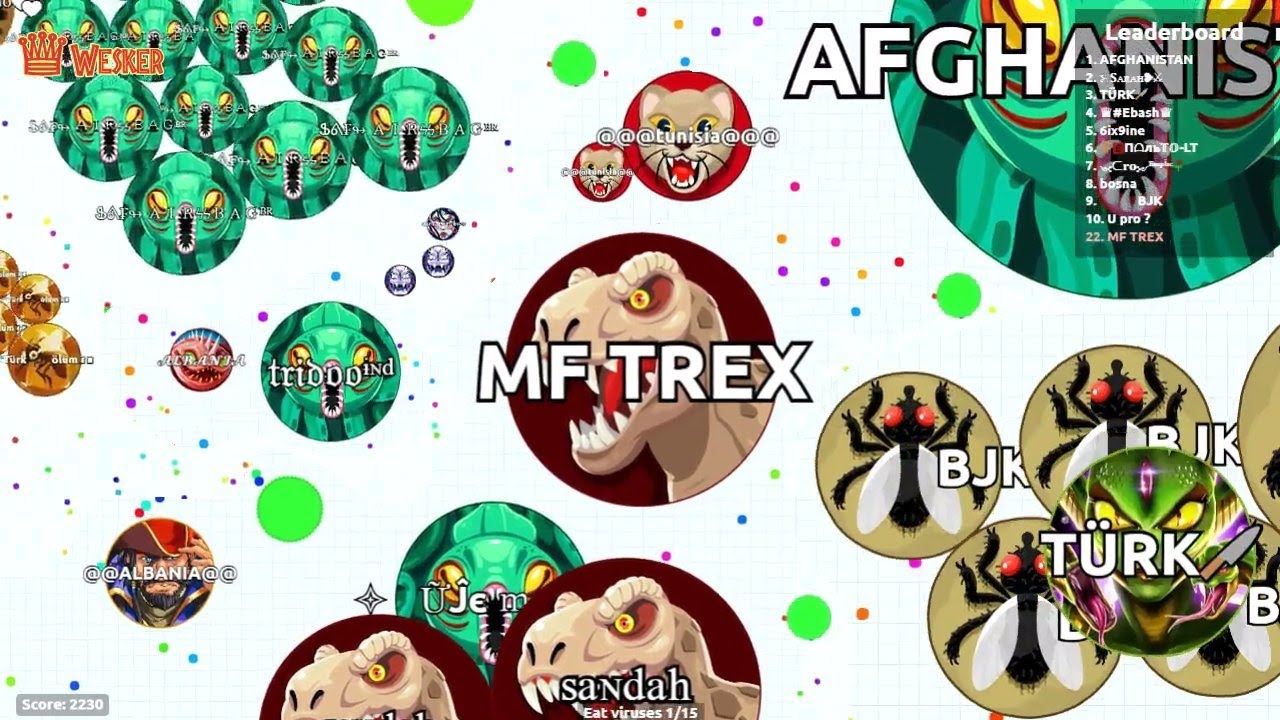 Agario FFA Solo - Motherf**king T-REX 17K