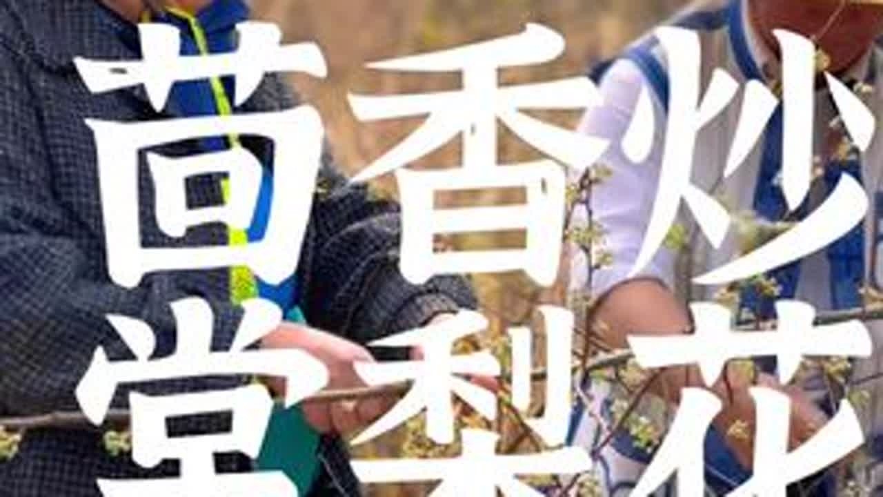 血辣子和堂梨花本就是两种毫无关系的食物，但炒在一起却能迸发出不一样的味道！尤其再来点茴香！绝了！#杞妈妈的血辣子