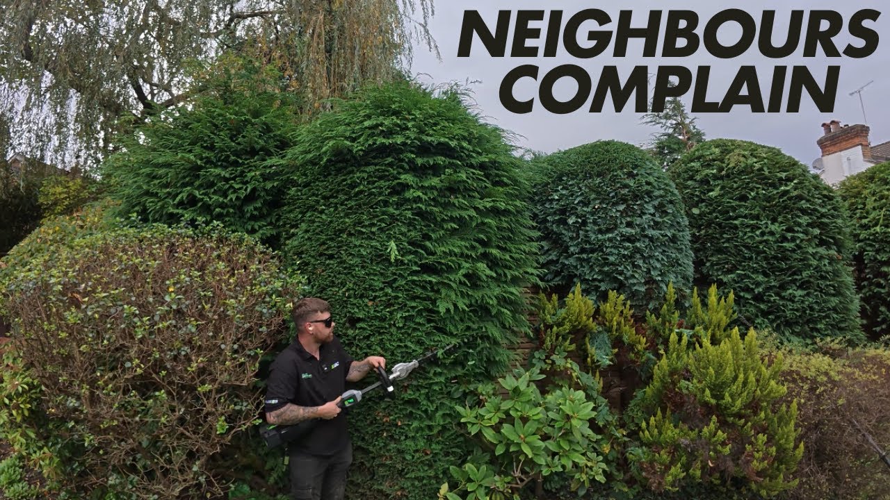 Did the Neighbors Approve? Hedge Trimming with the EGO HTX5300-P