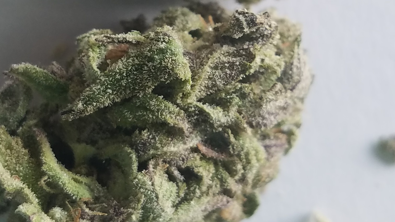 AMAZING FIND !!!....AFGOOBERRY STRAIN REVIEW!!!!!