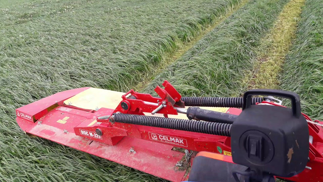 Balıkesir de reygras hasadı.