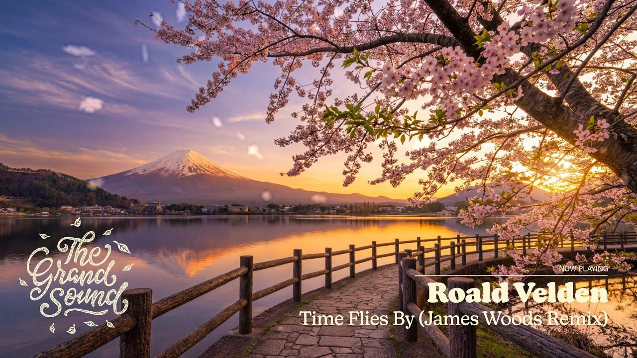 Roald Velden - Time Flies By (James Woods Remix)