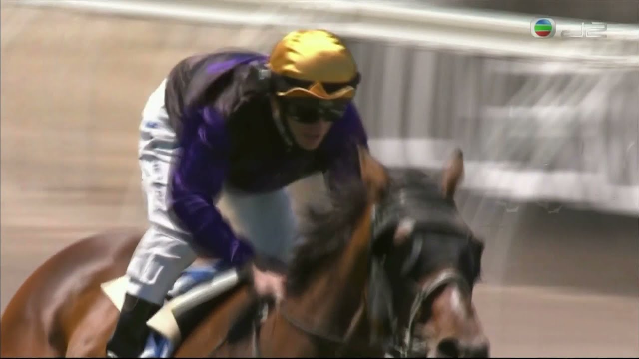 2021 Furphy Plate (Melbourne Cup Day Plate) Listed - Milton Park (科技園) - J.Fry