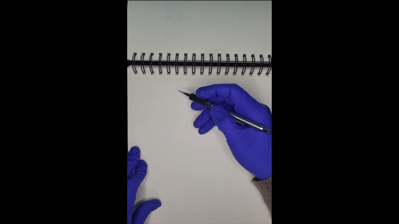 Learning to draw: day 3