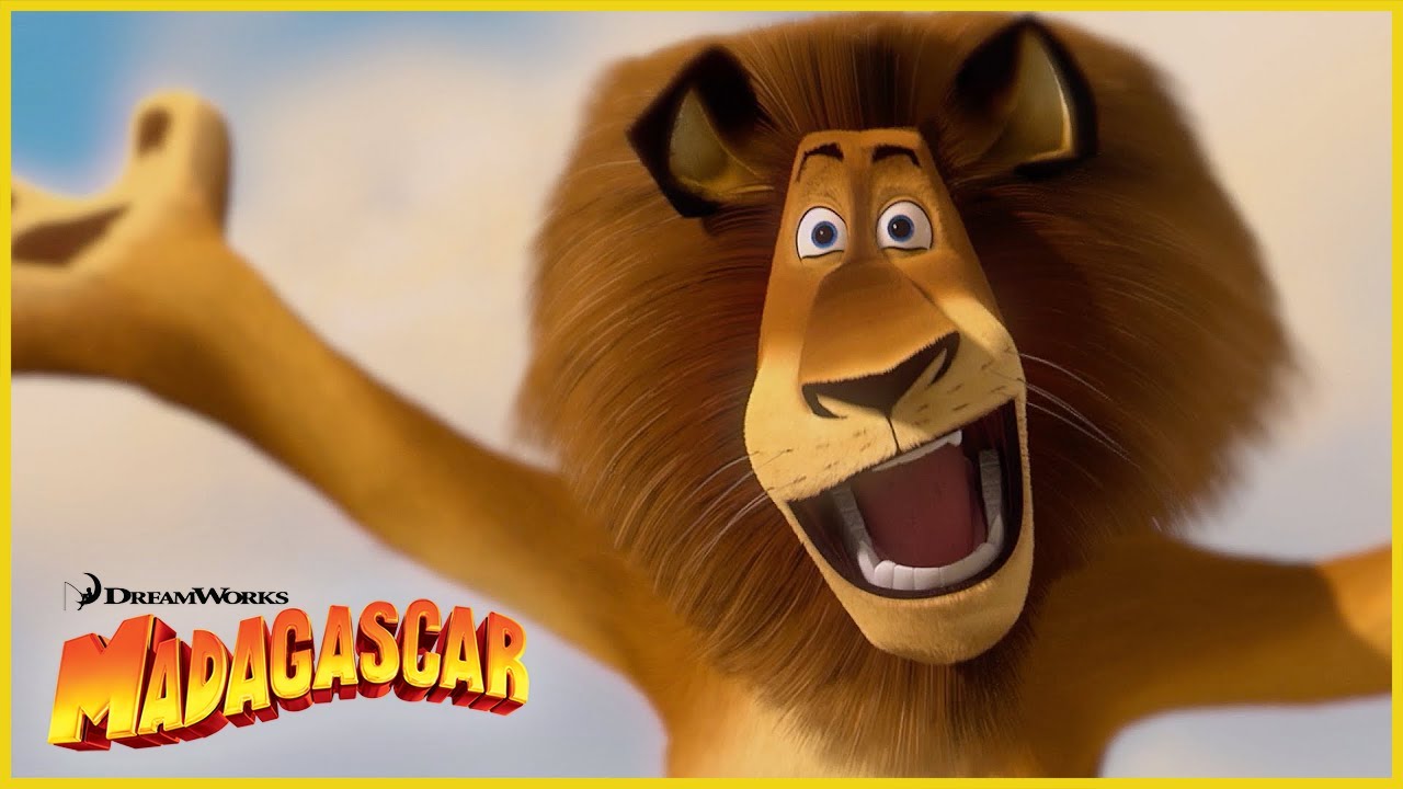 Una isla desértica misteriosa... 😲🏝️🦁 | DreamWorks Madagascar en Español Latino