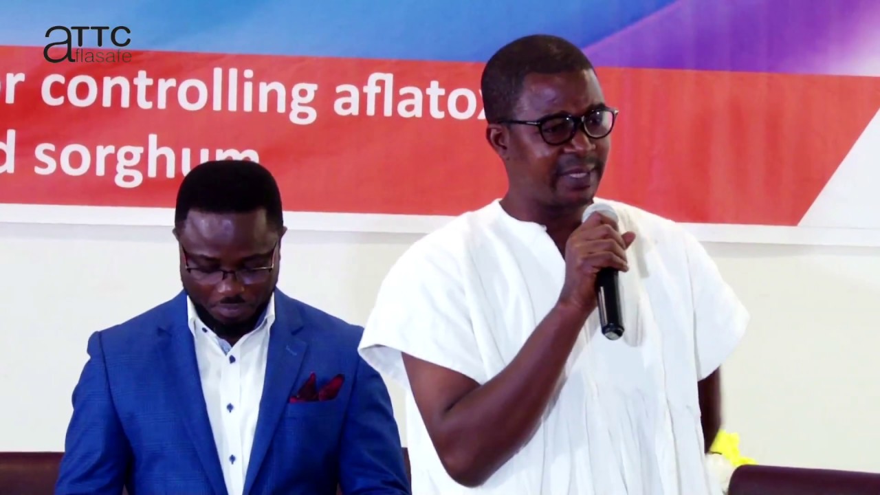 Ghana's Ministry of Food & Agriculture launches Aflasafe GH02 in Ghana