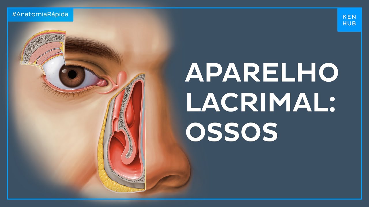 Ossos do aparelho lacrimal - Anatomia Fácil | Kenhub