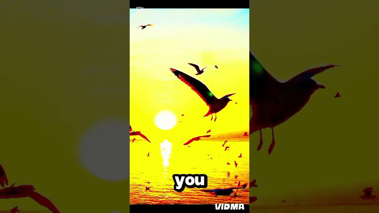 2026 PNG gosple..ohsanah too you 