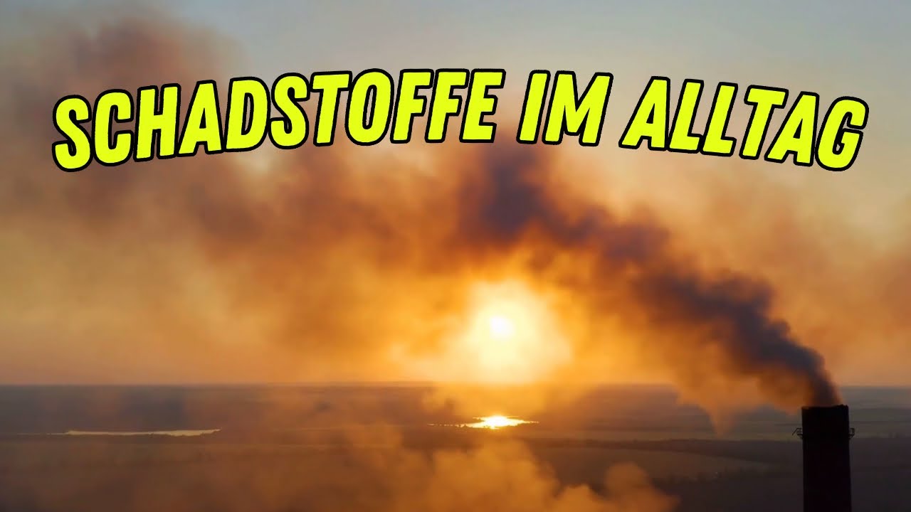 Schadstoffe im Alltag - Eine umfassende Betrachtung von Lebensmitteln bis zur Umwelt