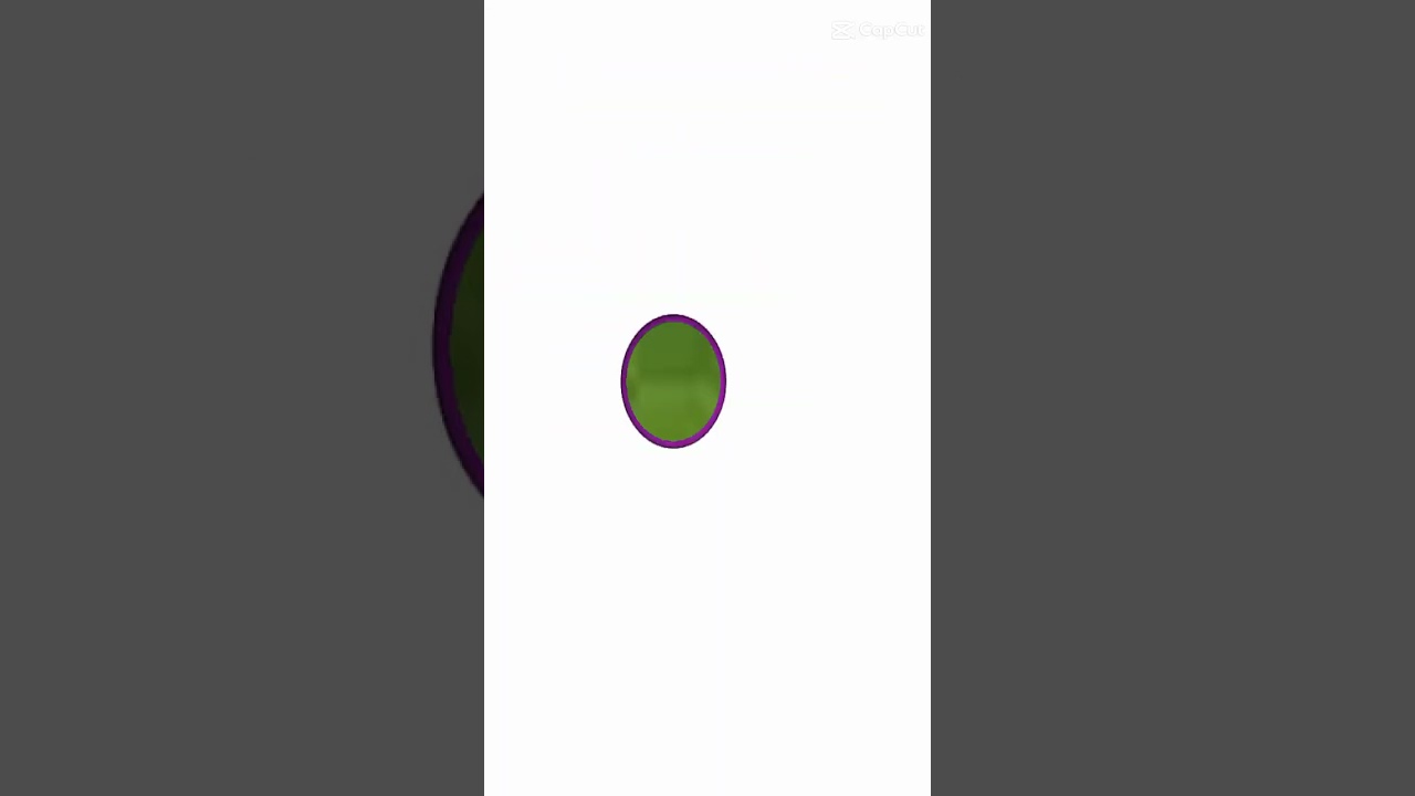 P 🗿