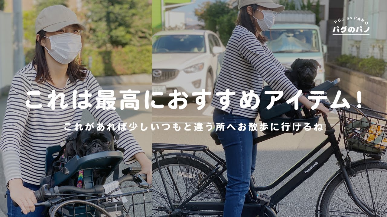 【商品紹介】パグのパノ君大喜び！？とても便利な自転車ペットシート　バディライダーを購入！　Purchased a Buddyrider !!